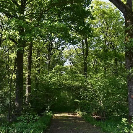 Jachthuis Au Bois Du 度假居 Gheer